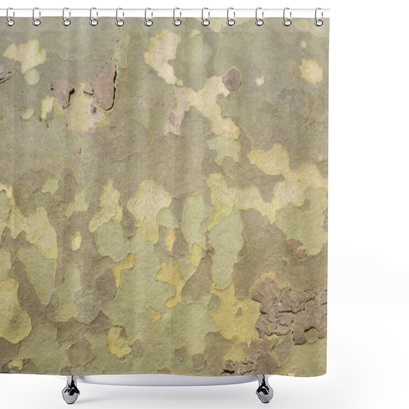 Personality  Texture Of The Bark Of The Plane Tree. Yellow, Green And Brown Colored Texture. For Background Shower Curtains