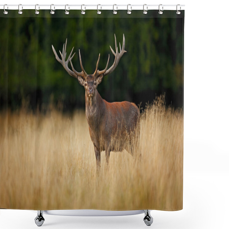 Personality  Powerful Adult Red Deer Shower Curtains