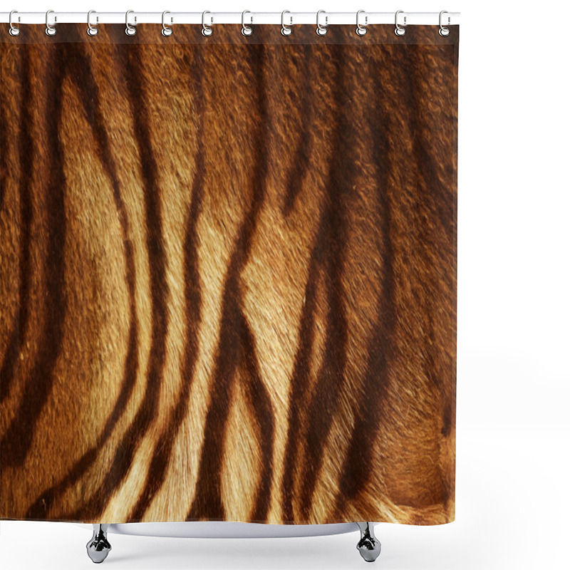 Personality  Tiger Texture Shower Curtains