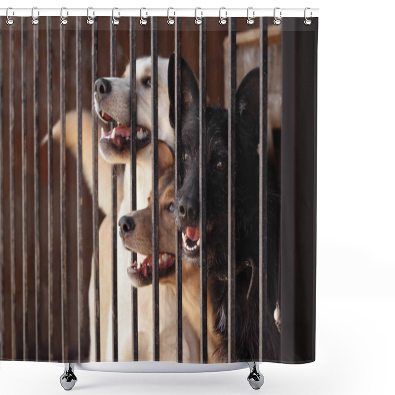 Personality  Homeless Dogs In Cage Shower Curtains