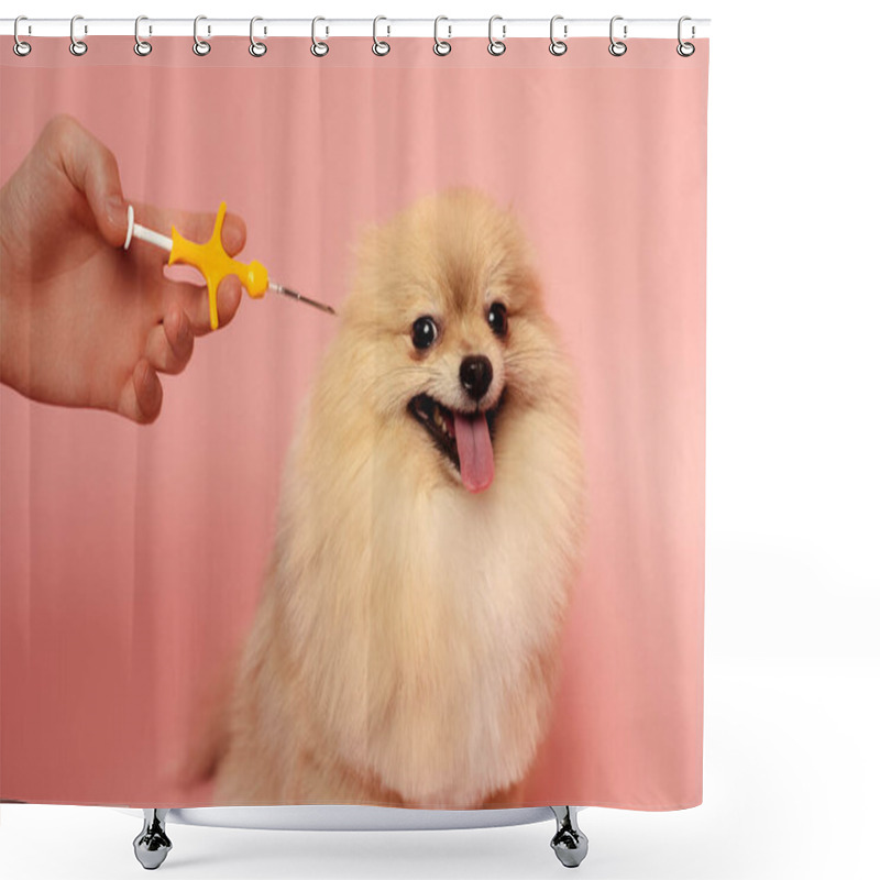 Personality  Cropped View Of Man Holding Syringe For Microchipping Spitz Dog On Pink Shower Curtains