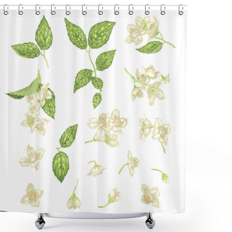 Personality  Set With Jasmine Flowers, Buds And Leaves In Realistic Graphic Vector Illustratio Shower Curtains