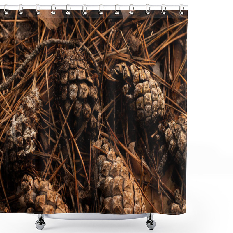 Personality  Pine Cones Scattered On A Forest Floor Covered With Fallen Pine Needles. A Natural Woodland Scene With Earthy Tones, Organic Textures, And A Tranquil Atmosphere, Capturing The Beauty Of Nature's Details. Shower Curtains