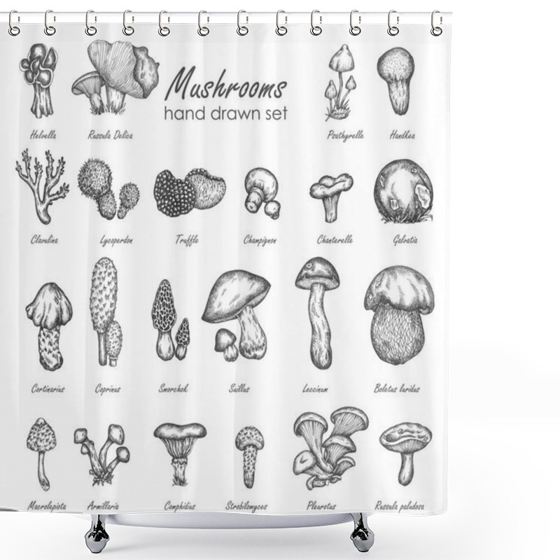 Personality  Mushroom Hand Drawn Sketch Vector Illustration. Mushrooms Vector Set Truffle, Chanterelle, Champignon, Enokitake Vintage Food Collection Shower Curtains