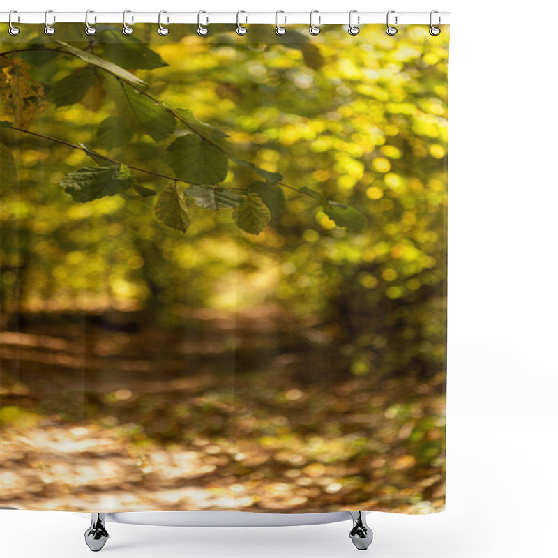 Personality  Selective Focus Of Scenic Autumnal Forest With Golden Foliage And Path In Sunlight Shower Curtains