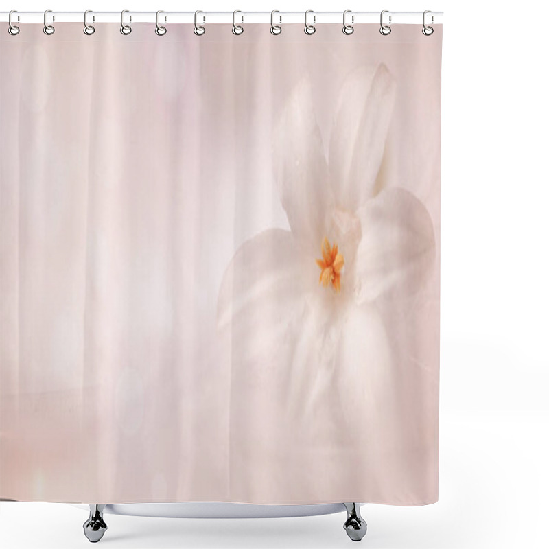 Personality  Pastel Soft Background With A White Flower And Bokeh- Concept Birthday, Mothers Day Shower Curtains