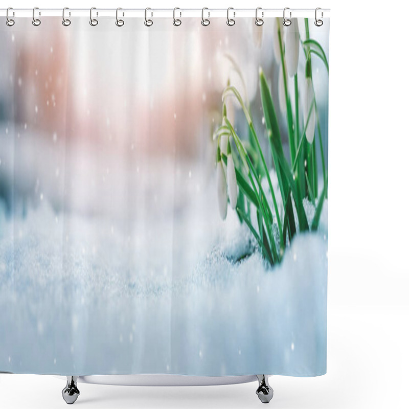 Personality  Panoramic View To Spring Flowers In The Park Shower Curtains