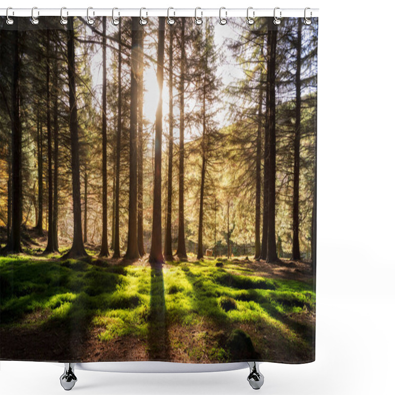 Personality  Woodland In Peak District National Park Shower Curtains