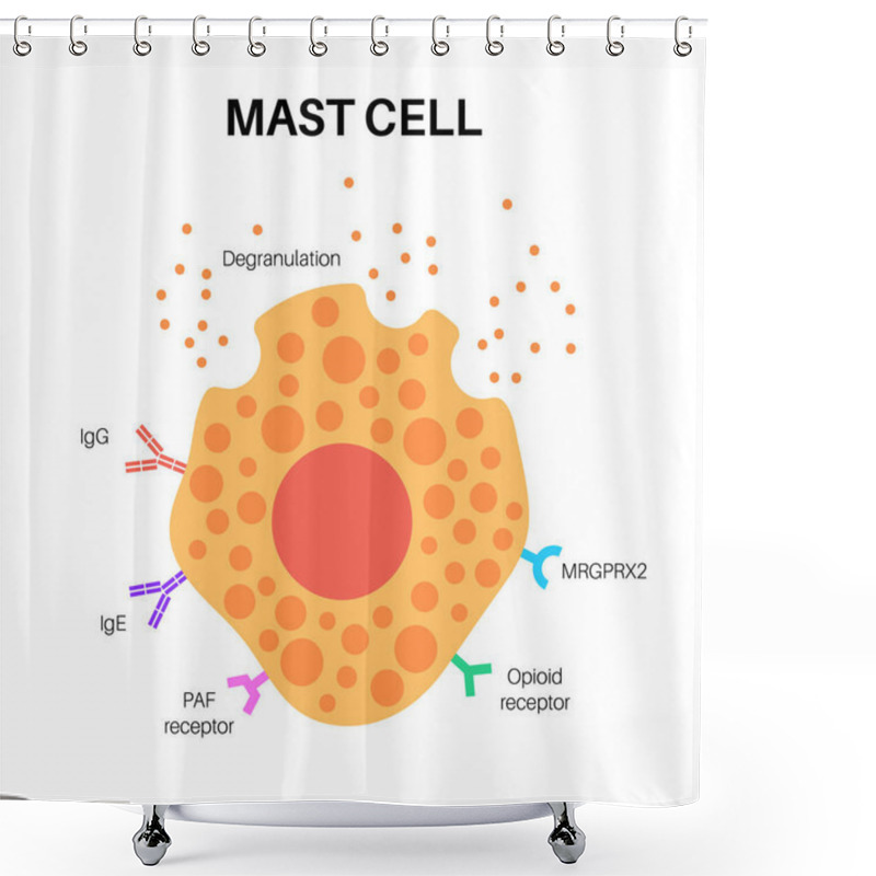 Personality  Mast Cell Poster Shower Curtains