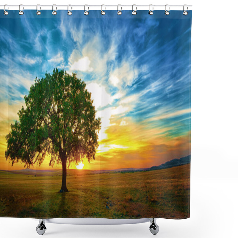 Personality  Oak Tree Shower Curtains