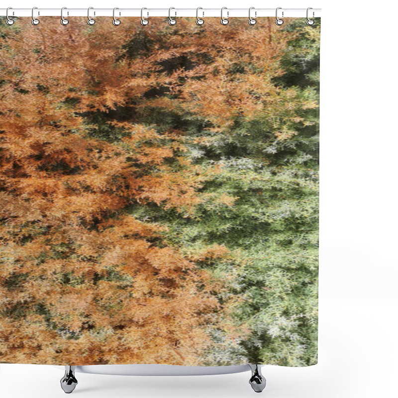 Personality  Arizona Plant With Green And Dry Parts Shower Curtains