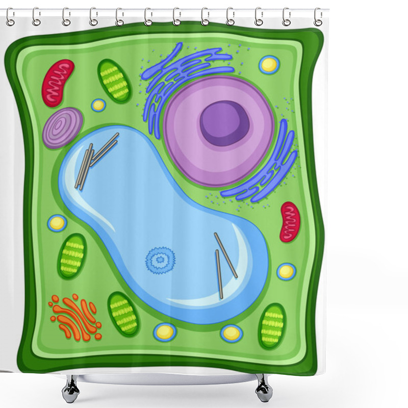 Personality  Plant Cell With Cell Membrane Shower Curtains