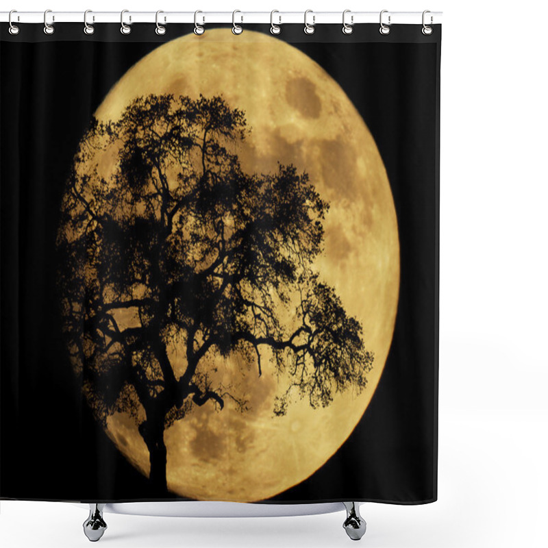 Personality  By Moonlight Shower Curtains