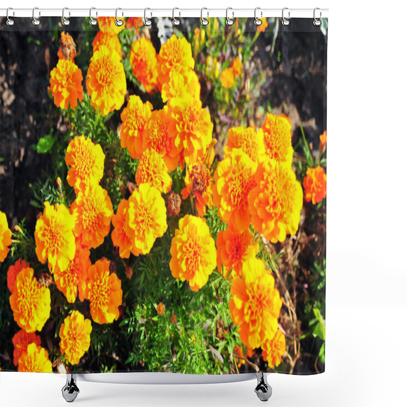 Personality  Marigold Bright Flowers With Green Leaves In The Garden. Flowers Close Up, Growing, Top View. Bright Marigold Flowers From Above. Flora Design, Flower Background, Garden Flowers. Flowers No People. Shower Curtains