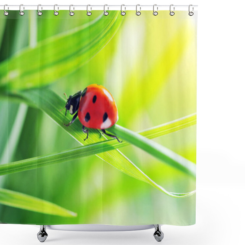 Personality  Ladybug On Grass Shower Curtains