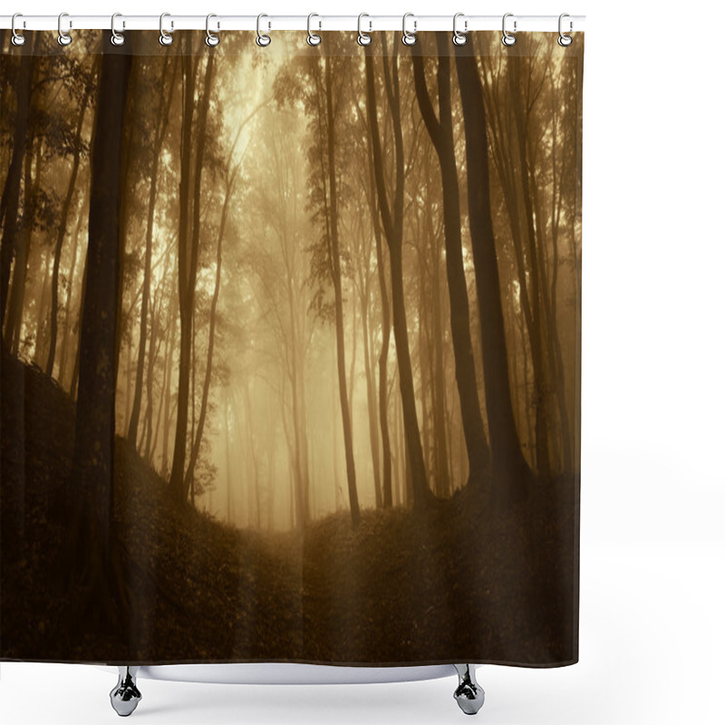 Personality  Dark Mysterious Fantasy Like Forest With Fog In Late Autumn Shower Curtains