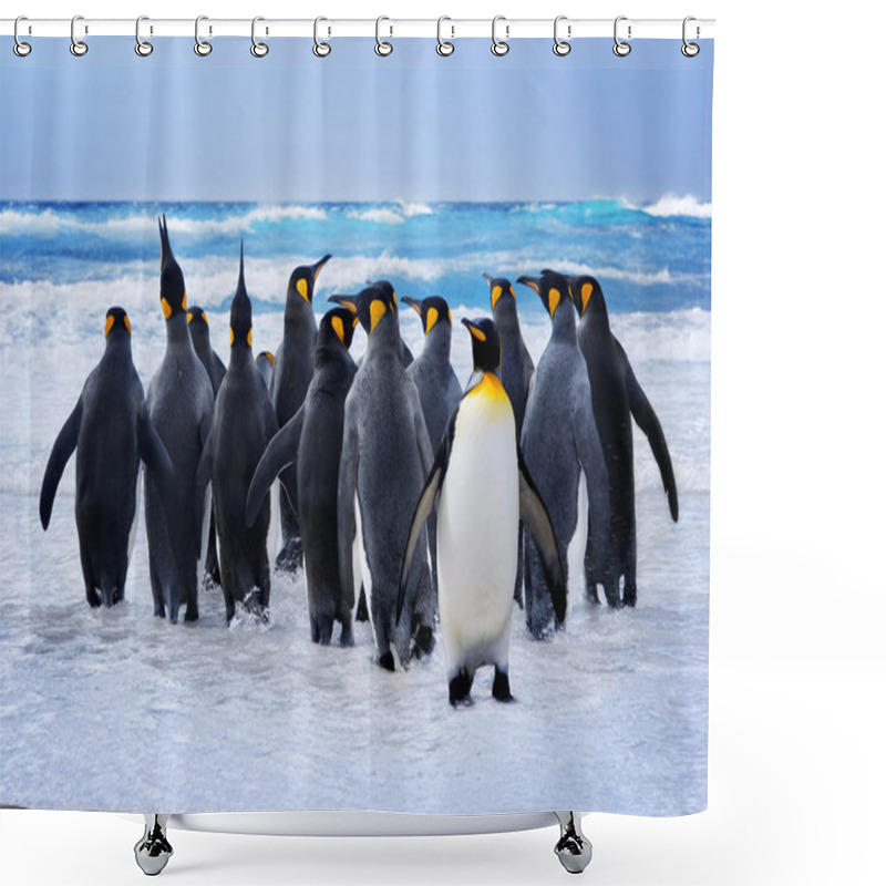 Personality  King Penguins Shower Curtains