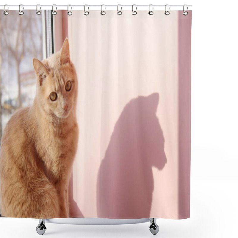 Personality  Red Cat And Its Shadow. The Cat Is Sitting On The Window Sill. Shower Curtains