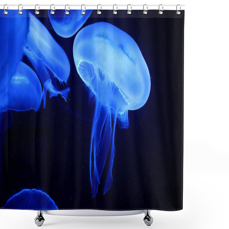 Personality  Jellyfish, Sea Underwater Fauna Shower Curtains