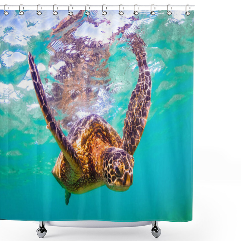 Personality  Hawaiian Green Sea Turtle Cruising The Warm Waters Of The Pacific Ocean In Hawaii Shower Curtains