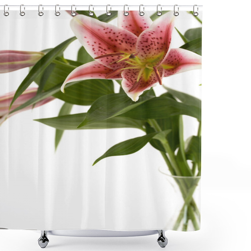 Personality  Pink Lily In A Vase Over White Backgroun Shower Curtains