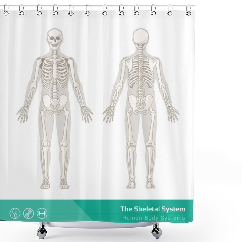 Personality  The Human Skeletal System Shower Curtains