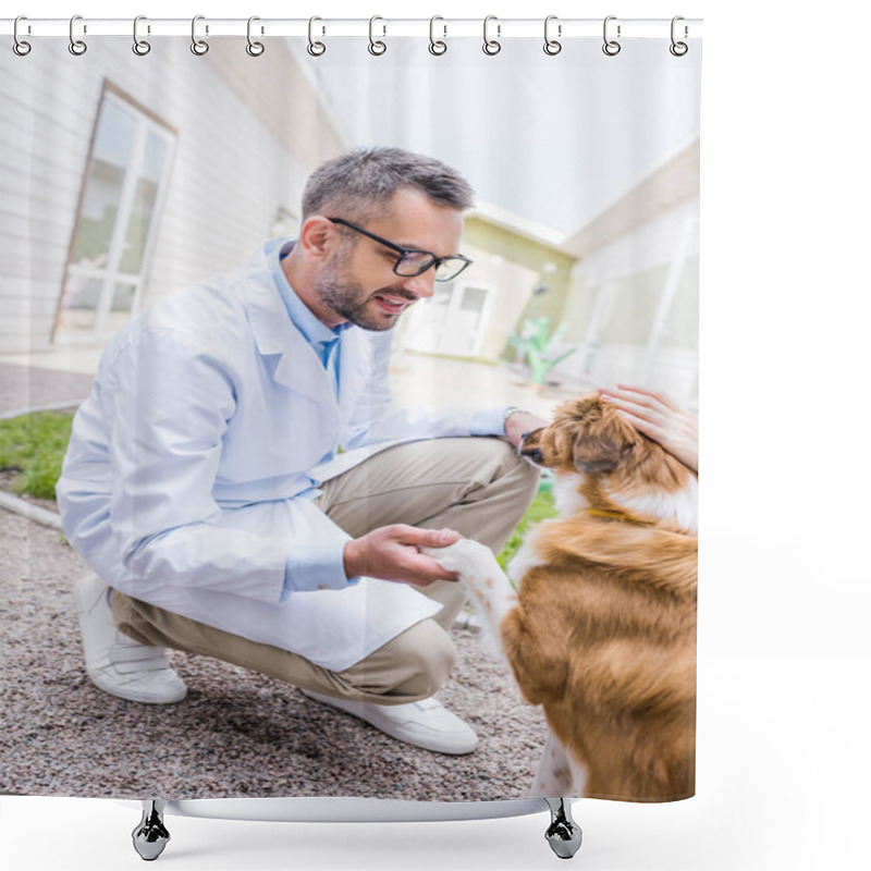 Personality  Side View Of Veterinarian Holding Dog Paw At Veterinary Clinic Shower Curtains