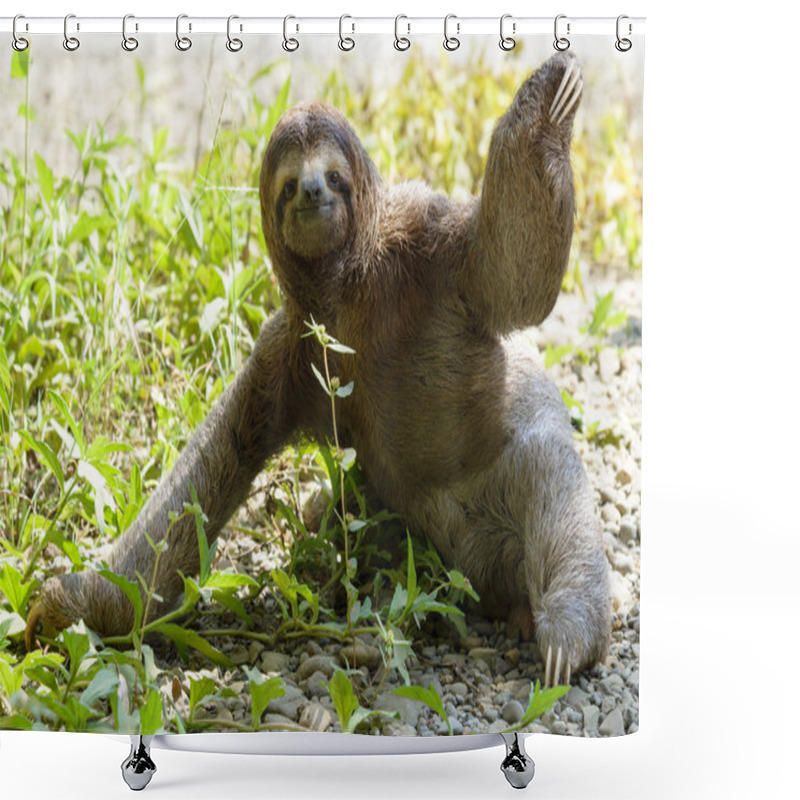 Personality  Sloth On Ground Shower Curtains