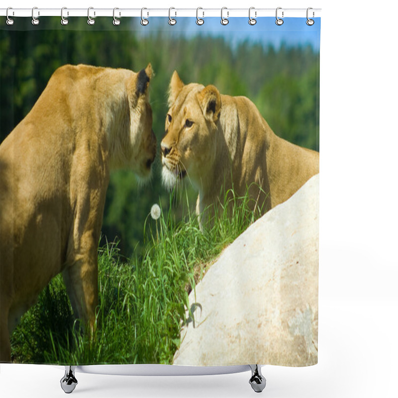 Personality  Lions Shower Curtains