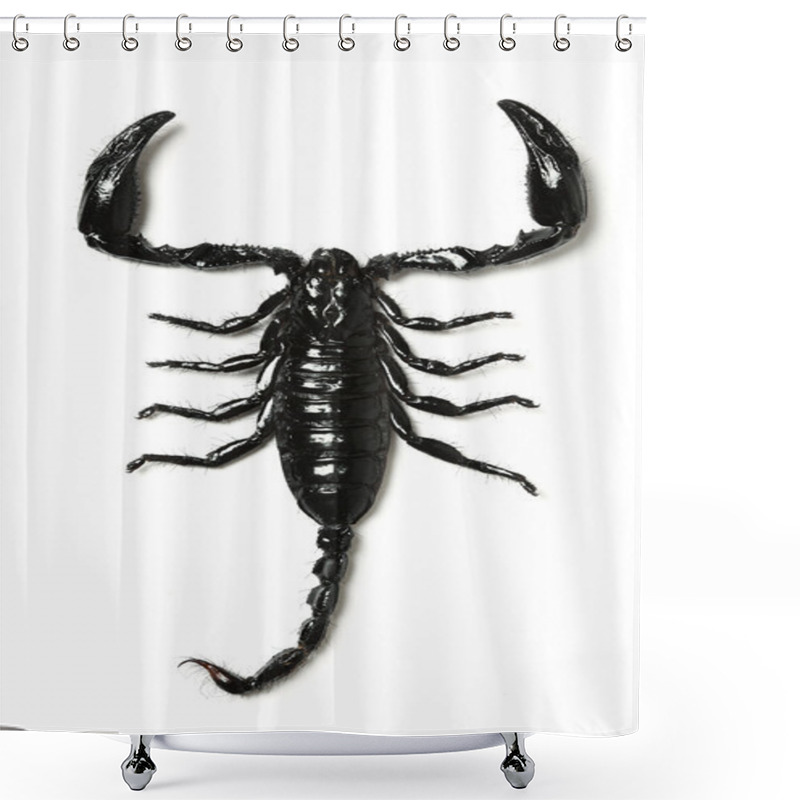 Personality  Scorpion Shower Curtains