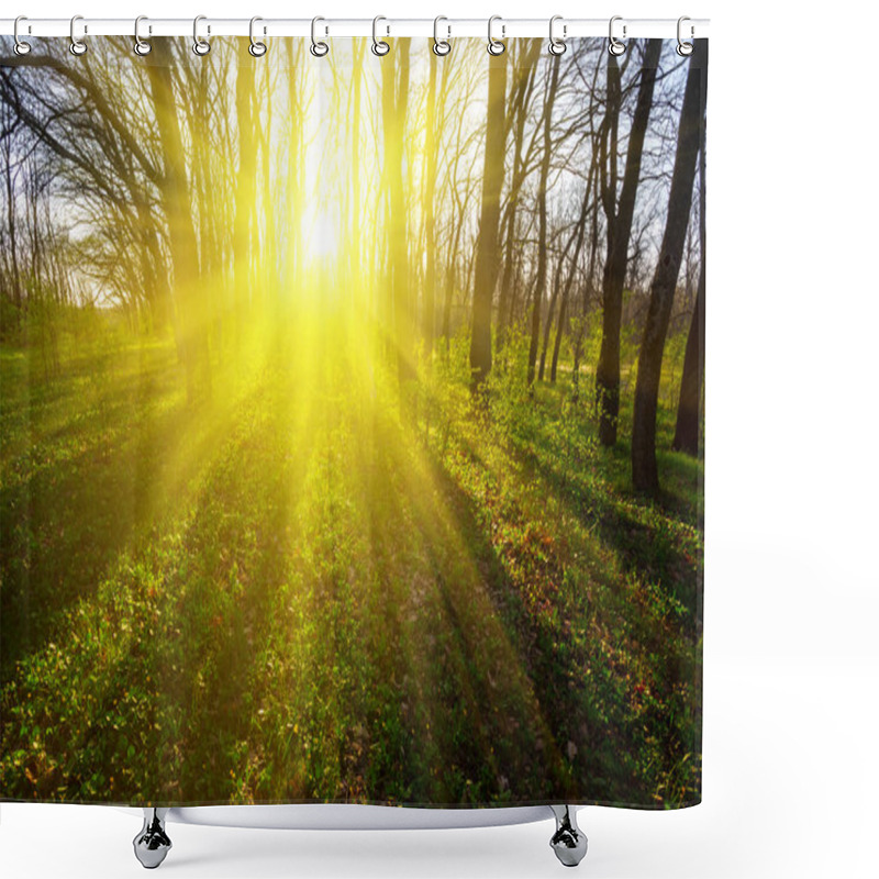 Personality  Beautiful Summer Forest Glade At The Sunset, Outdoor Background Shower Curtains