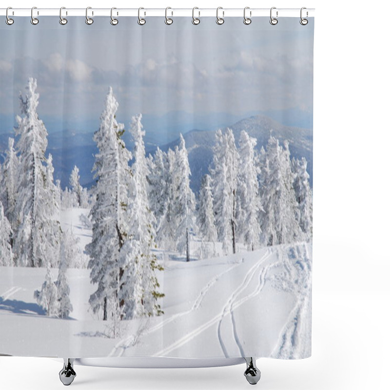 Personality  Winter Forest Shower Curtains