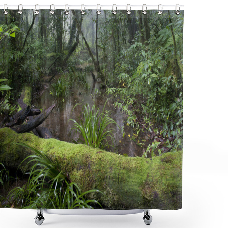 Personality  Tropical Mountian Forest Shower Curtains