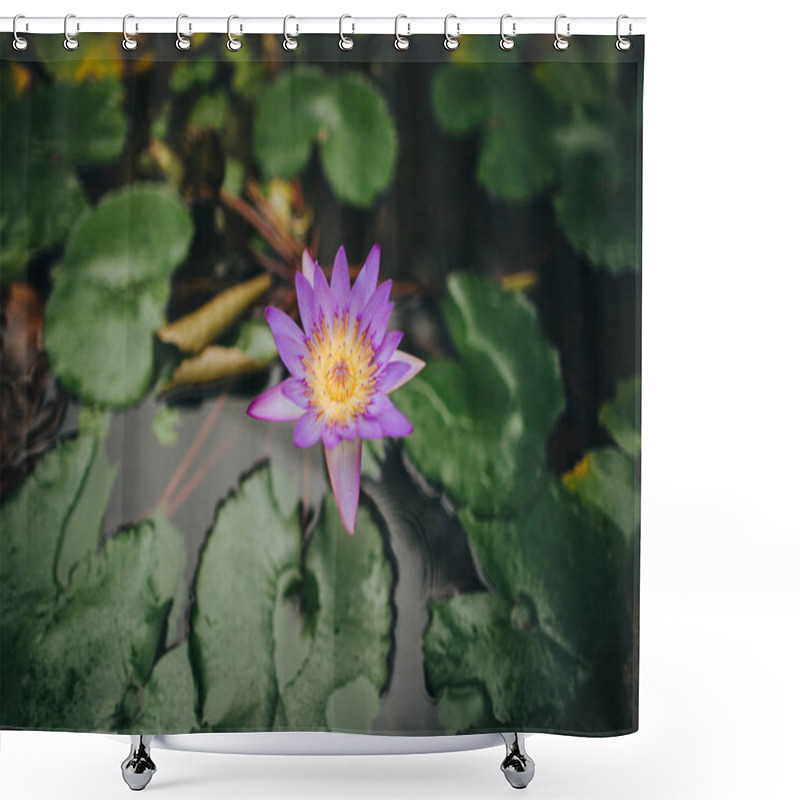 Personality  Lotus Flower Shower Curtains