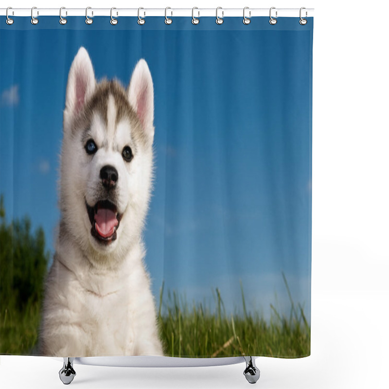 Personality  Siberian Husky Dog Puppy Shower Curtains