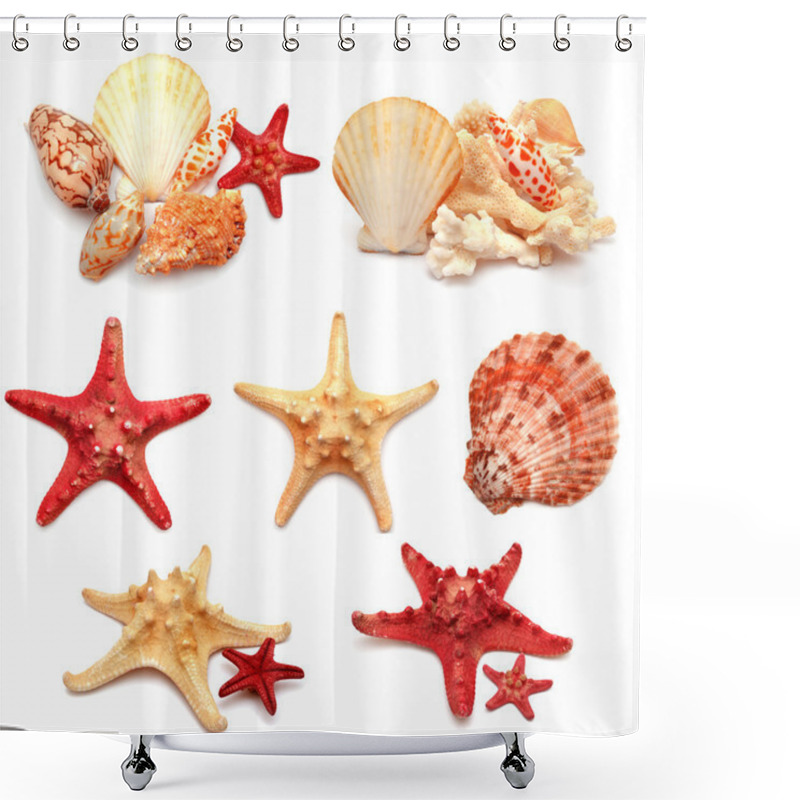 Personality  Collection Of Sea Stars, Shells And Coral  Shower Curtains