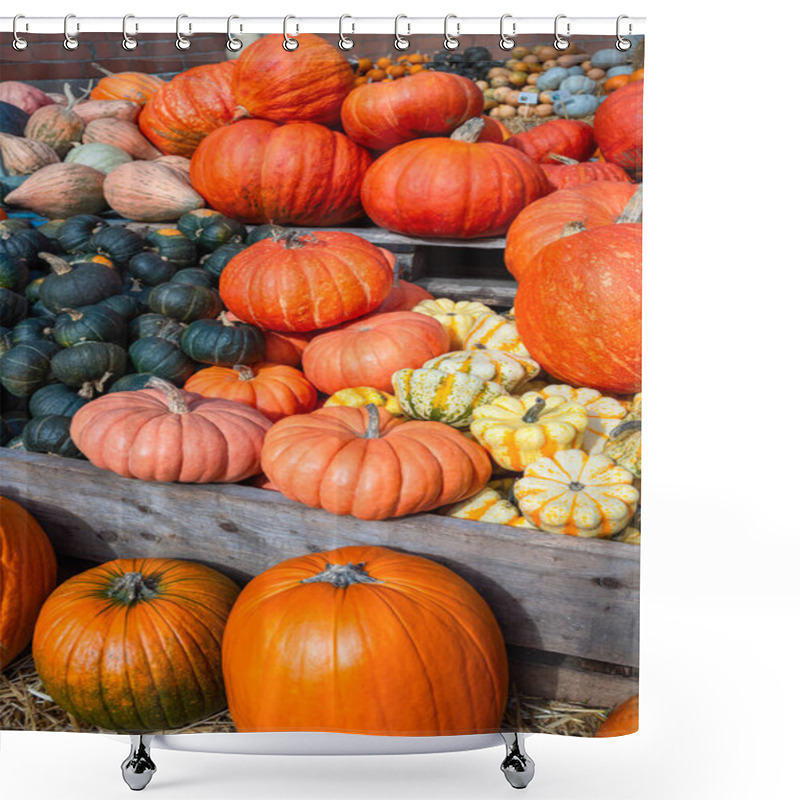 Personality  An Abundant Collection Of Pumpkins Showcasing Diverse Shapes And Colours. The Rich Hues And Diverse Forms Create A Visually Appealing Autumn Scene, Perfect For Celebrating The Season Abundance.  Shower Curtains