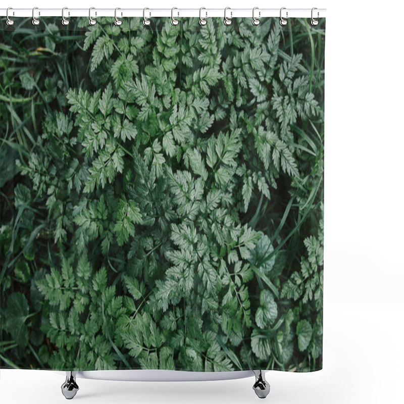 Personality  Elevated View Of Green Plants And Grass In Garden Shower Curtains