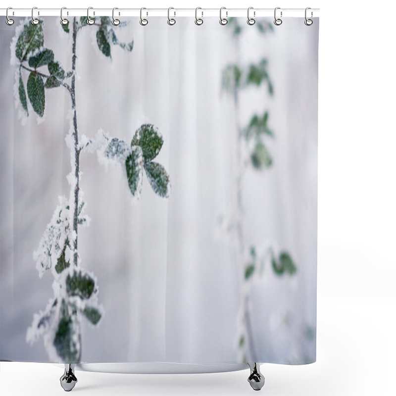 Personality  Leaves Covered With Morning Frost. Shower Curtains