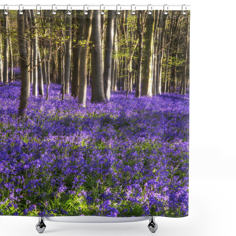 Personality  Stunning Bluebell Flowers In Spring Forest Landscape Shower Curtains