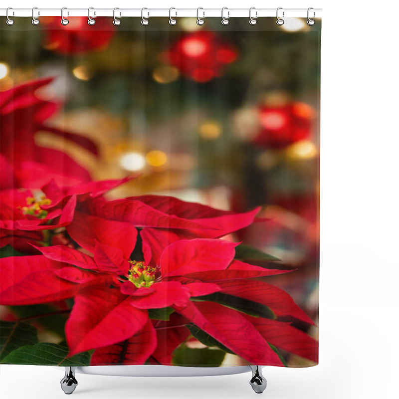 Personality  Red Poinsettia (Euphorbia Pulcherrima), Christmas Star Flower. Festive Red And Golden Holiday Background With Christmas Tree. Shower Curtains