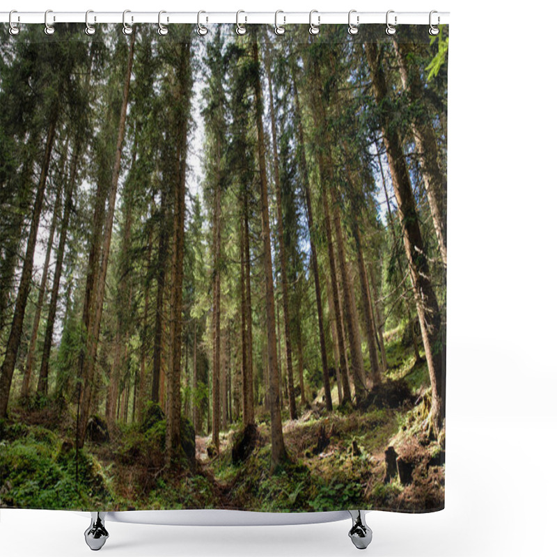 Personality  Forest And Trees Shower Curtains