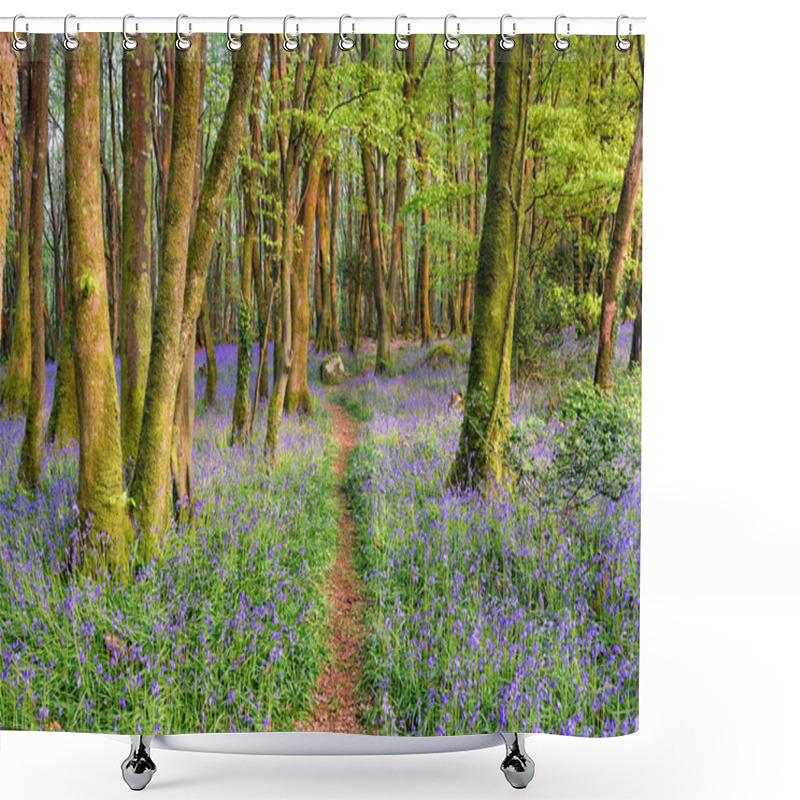 Personality  Bluebell Woods In Cornwall Shower Curtains