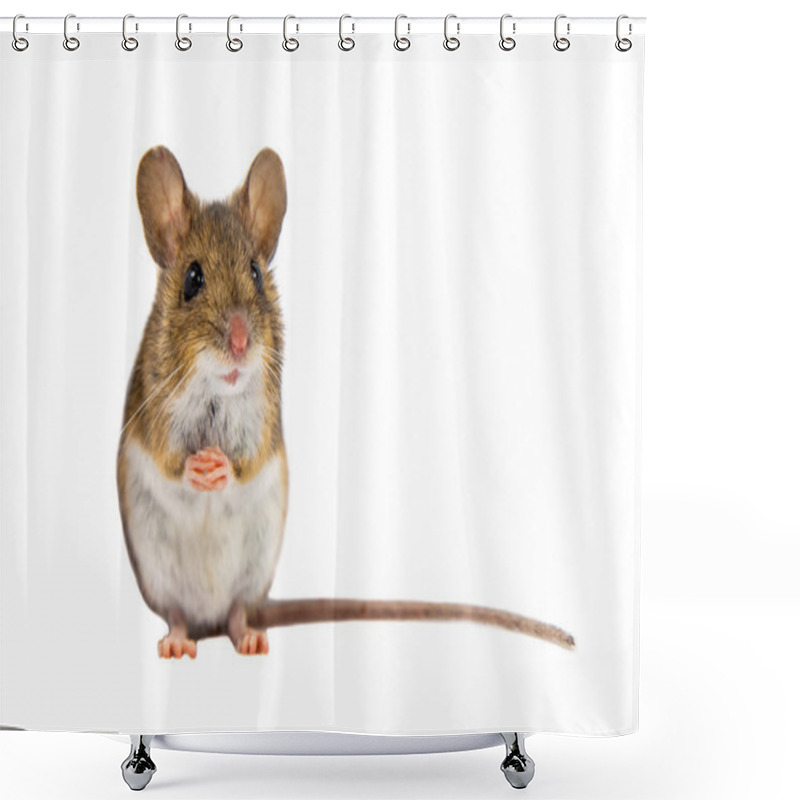 Personality  Cute Field Mouse On White Background Shower Curtains