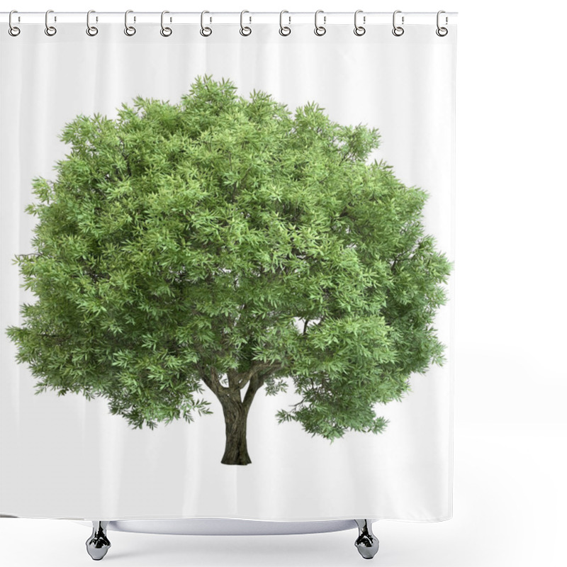 Personality  Oak Tree Isolated Shower Curtains