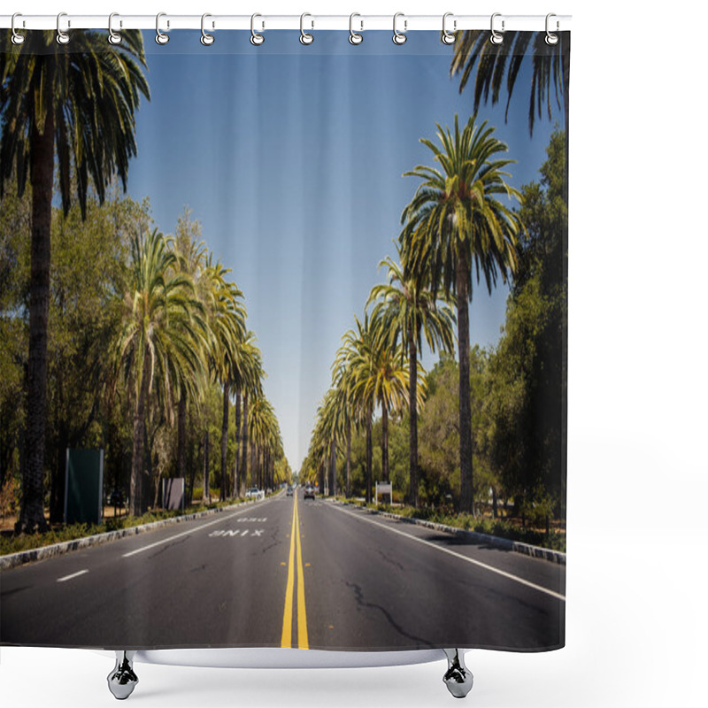 Personality  Palm Trees Road. Shower Curtains