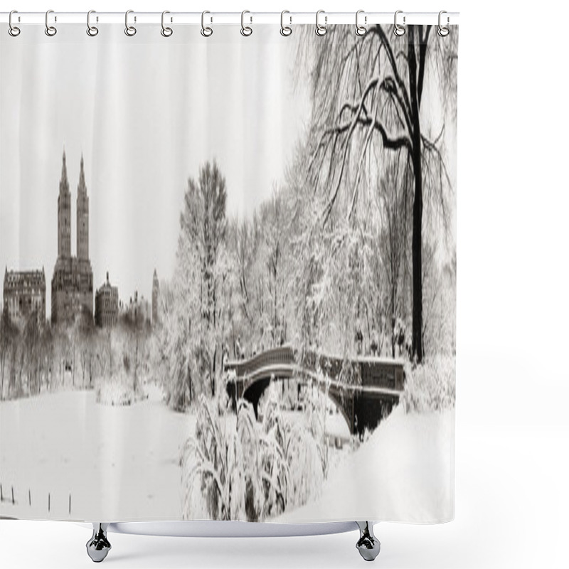 Personality  Central Park Winter Shower Curtains