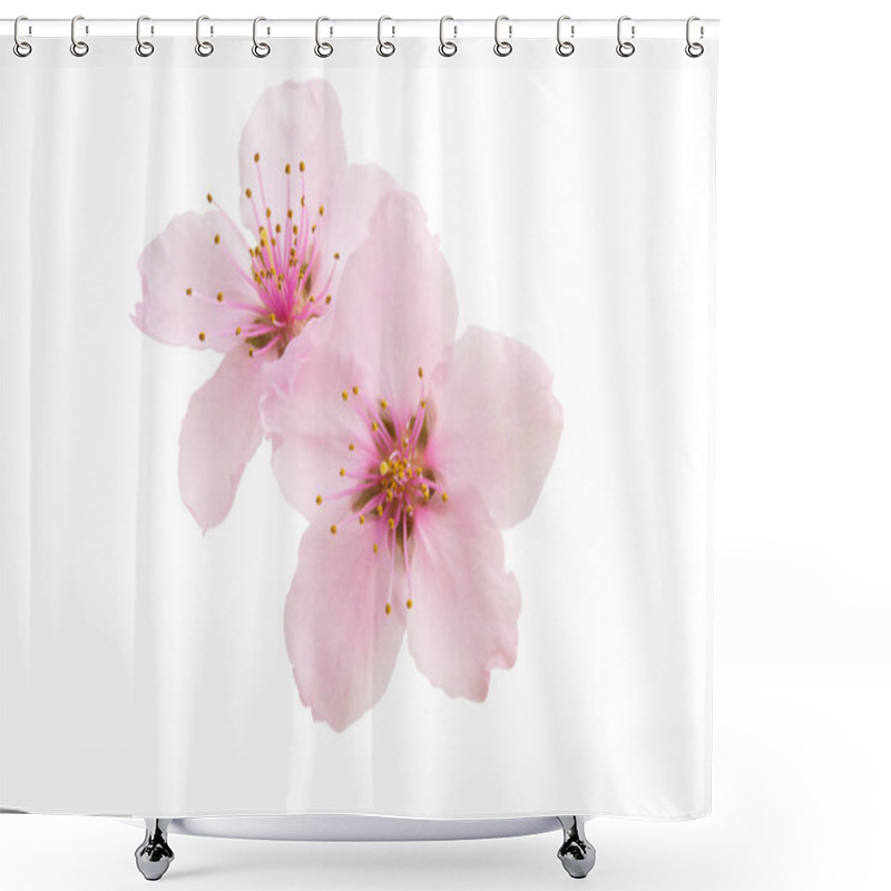 Personality  Sakura Flowers Isolated  Shower Curtains