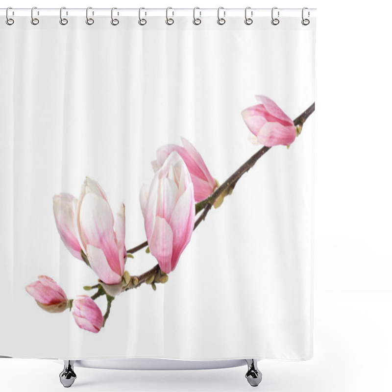 Personality  Magnolia Flower Branch On A White Background Shower Curtains