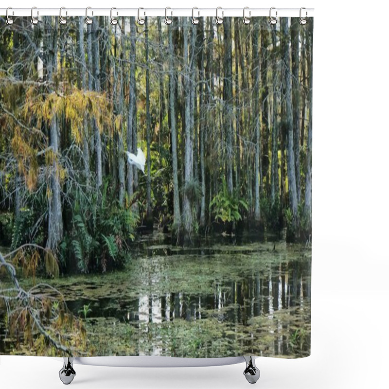 Personality  Bird Flying In The Louisiana Swamp Shower Curtains